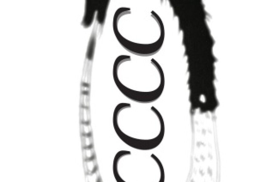 CCCC – Centre for Cybernetic Culture Circulation